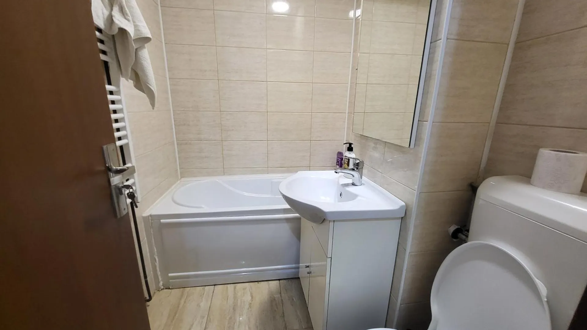Apartment Studio Veteranilor Bucharest