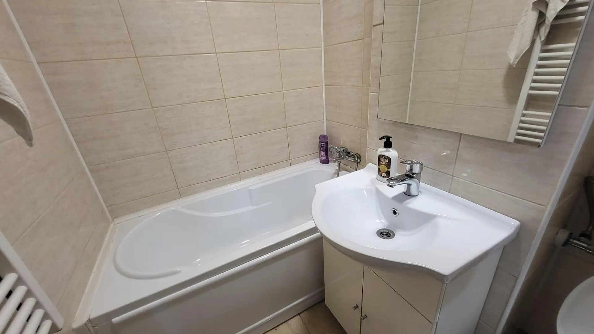 Studio Veteranilor Bucharest Apartment